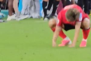 最新世界杯约旦vs阿尔及利亚全场录像_最新世界杯约旦vs阿尔及利亚全场录像在线观看_免费看直播
