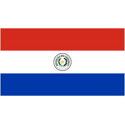 巴拉圭队徽